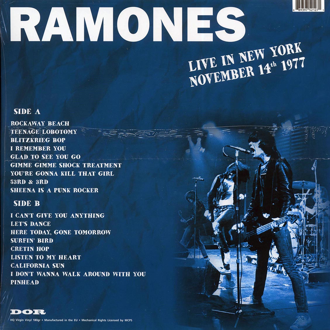 The Ramones - Live In New York November 14th 1977