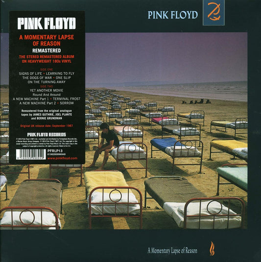 Pink Floyd - A Momentary Lapse Of Reason