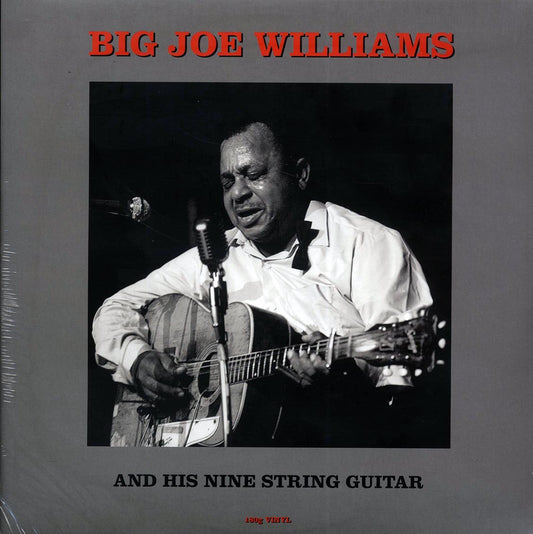 Big Joe Williams - Big Joe Williams And His Nine String Guitar