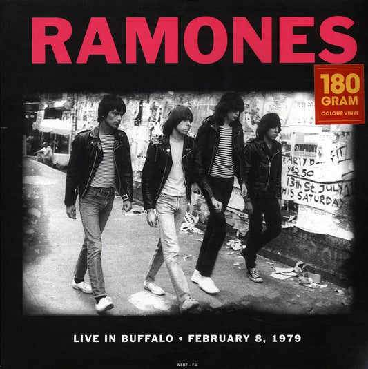 The Ramones - Live In Buffalo February 8, 1979